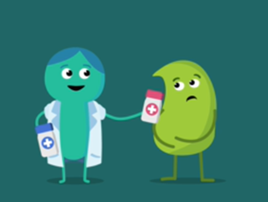 Doctor